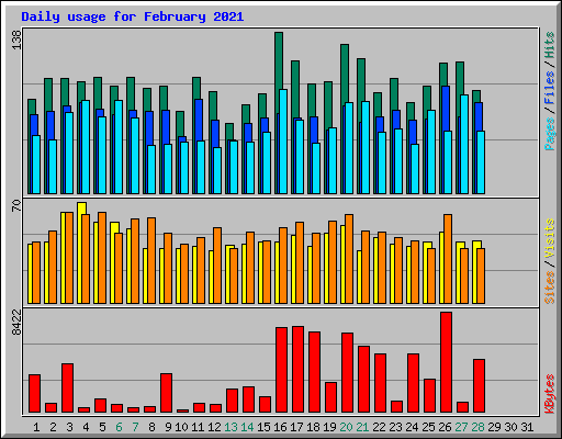 Daily usage for February 2021