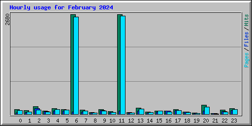 Hourly usage for February 2024