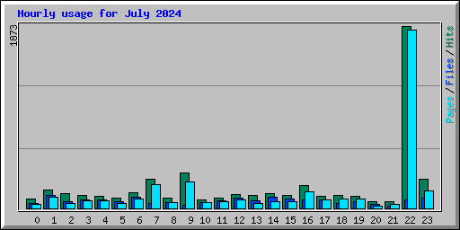 Hourly usage for July 2024