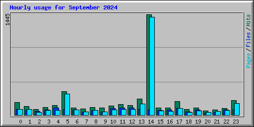 Hourly usage for September 2024