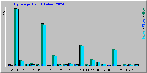 Hourly usage for October 2024