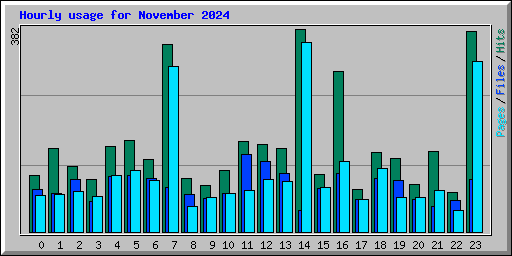 Hourly usage for November 2024