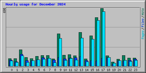 Hourly usage for December 2024