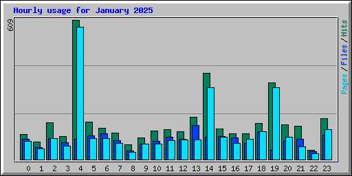 Hourly usage for January 2025