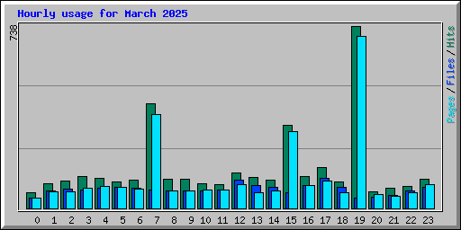 Hourly usage for March 2025