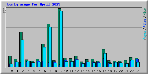 Hourly usage for April 2025